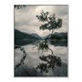 Picture of Tree Reflection _GroupedProduct_Rectangle_Portrait_Photography _GroupedProduct_Rectangle_Portrait_Canvas_Framed_