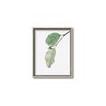 Picture of Dewey leaves _GroupedProduct_Rectangle_Portrait_Photography _GroupedProduct_Rectangle_Portrait_Canvas_Framed_