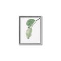 Picture of Dewey leaves _GroupedProduct_Rectangle_Portrait_Photography _GroupedProduct_Rectangle_Portrait_Canvas_Framed_
