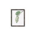Picture of Dewey leaves _GroupedProduct_Rectangle_Portrait_Photography _GroupedProduct_Rectangle_Portrait_Canvas_Framed_
