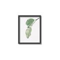 Picture of Dewey leaves _GroupedProduct_Rectangle_Portrait_Photography _GroupedProduct_Rectangle_Portrait_Canvas_Framed_
