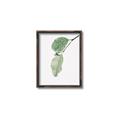 Picture of Dewey leaves _GroupedProduct_Rectangle_Portrait_Photography _GroupedProduct_Rectangle_Portrait_Canvas_Framed_