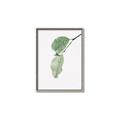 Picture of Dewey leaves _GroupedProduct_Rectangle_Portrait_Photography _GroupedProduct_Rectangle_Portrait_Canvas_Framed_