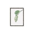 Picture of Dewey leaves _GroupedProduct_Rectangle_Portrait_Photography _GroupedProduct_Rectangle_Portrait_Canvas_Framed_