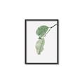 Picture of Dewey leaves _GroupedProduct_Rectangle_Portrait_Photography _GroupedProduct_Rectangle_Portrait_Canvas_Framed_