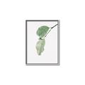Picture of Dewey leaves _GroupedProduct_Rectangle_Portrait_Photography _GroupedProduct_Rectangle_Portrait_Canvas_Framed_