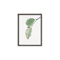 Picture of Dewey leaves _GroupedProduct_Rectangle_Portrait_Photography _GroupedProduct_Rectangle_Portrait_Canvas_Framed_