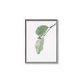 Picture of Dewey leaves _GroupedProduct_Rectangle_Portrait_Photography _GroupedProduct_Rectangle_Portrait_Canvas_Framed_