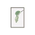 Picture of Dewey leaves _GroupedProduct_Rectangle_Portrait_Photography _GroupedProduct_Rectangle_Portrait_Canvas_Framed_
