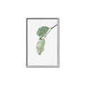 Picture of Dewey leaves _GroupedProduct_Rectangle_Portrait_Photography _GroupedProduct_Rectangle_Portrait_Canvas_Framed_