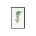 Picture of Dewey leaves _GroupedProduct_Rectangle_Portrait_Photography _GroupedProduct_Rectangle_Portrait_Canvas_Framed_