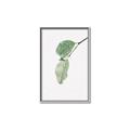 Picture of Dewey leaves _GroupedProduct_Rectangle_Portrait_Photography _GroupedProduct_Rectangle_Portrait_Canvas_Framed_