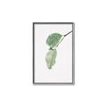Picture of Dewey leaves _GroupedProduct_Rectangle_Portrait_Photography _GroupedProduct_Rectangle_Portrait_Canvas_Framed_