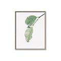 Picture of Dewey leaves _GroupedProduct_Rectangle_Portrait_Photography _GroupedProduct_Rectangle_Portrait_Canvas_Framed_