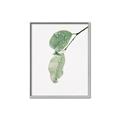 Picture of Dewey leaves _GroupedProduct_Rectangle_Portrait_Photography _GroupedProduct_Rectangle_Portrait_Canvas_Framed_