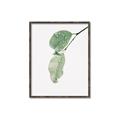 Picture of Dewey leaves _GroupedProduct_Rectangle_Portrait_Photography _GroupedProduct_Rectangle_Portrait_Canvas_Framed_