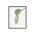 Picture of Dewey leaves _GroupedProduct_Rectangle_Portrait_Photography _GroupedProduct_Rectangle_Portrait_Canvas_Framed_