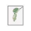 Picture of Dewey leaves _GroupedProduct_Rectangle_Portrait_Photography _GroupedProduct_Rectangle_Portrait_Canvas_Framed_
