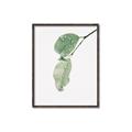 Picture of Dewey leaves _GroupedProduct_Rectangle_Portrait_Photography _GroupedProduct_Rectangle_Portrait_Canvas_Framed_