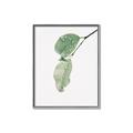 Picture of Dewey leaves _GroupedProduct_Rectangle_Portrait_Photography _GroupedProduct_Rectangle_Portrait_Canvas_Framed_