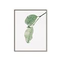 Picture of Dewey leaves _GroupedProduct_Rectangle_Portrait_Photography _GroupedProduct_Rectangle_Portrait_Canvas_Framed_
