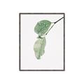 Picture of Dewey leaves _GroupedProduct_Rectangle_Portrait_Photography _GroupedProduct_Rectangle_Portrait_Canvas_Framed_