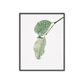 Picture of Dewey leaves _GroupedProduct_Rectangle_Portrait_Photography _GroupedProduct_Rectangle_Portrait_Canvas_Framed_