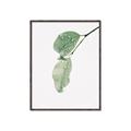 Picture of Dewey leaves _GroupedProduct_Rectangle_Portrait_Photography _GroupedProduct_Rectangle_Portrait_Canvas_Framed_