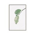 Picture of Dewey leaves _GroupedProduct_Rectangle_Portrait_Photography _GroupedProduct_Rectangle_Portrait_Canvas_Framed_
