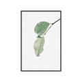 Picture of Dewey leaves _GroupedProduct_Rectangle_Portrait_Photography _GroupedProduct_Rectangle_Portrait_Canvas_Framed_