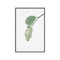 Picture of Dewey leaves _GroupedProduct_Rectangle_Portrait_Photography _GroupedProduct_Rectangle_Portrait_Canvas_Framed_