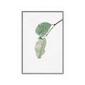 Picture of Dewey leaves _GroupedProduct_Rectangle_Portrait_Photography _GroupedProduct_Rectangle_Portrait_Canvas_Framed_