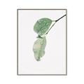 Picture of Dewey leaves _GroupedProduct_Rectangle_Portrait_Photography _GroupedProduct_Rectangle_Portrait_Canvas_Framed_