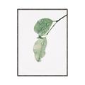 Picture of Dewey leaves _GroupedProduct_Rectangle_Portrait_Photography _GroupedProduct_Rectangle_Portrait_Canvas_Framed_