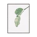 Picture of Dewey leaves _GroupedProduct_Rectangle_Portrait_Photography _GroupedProduct_Rectangle_Portrait_Canvas_Framed_