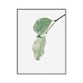 Picture of Dewey leaves _GroupedProduct_Rectangle_Portrait_Photography _GroupedProduct_Rectangle_Portrait_Canvas_Framed_
