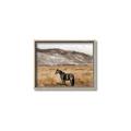 Picture of Mustard Grass Horse _GroupedProduct_Rectangle_Landscape_Photography _GroupedProduct_Rectangle_Landscape_Canvas_Framed_