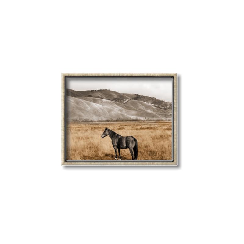 Picture of Mustard Grass Horse _GroupedProduct_Rectangle_Landscape_Photography _GroupedProduct_Rectangle_Landscape_Canvas_Framed_