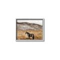 Picture of Mustard Grass Horse _GroupedProduct_Rectangle_Landscape_Photography _GroupedProduct_Rectangle_Landscape_Canvas_Framed_