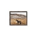 Picture of Mustard Grass Horse _GroupedProduct_Rectangle_Landscape_Photography _GroupedProduct_Rectangle_Landscape_Canvas_Framed_