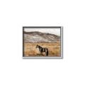 Picture of Mustard Grass Horse _GroupedProduct_Rectangle_Landscape_Photography _GroupedProduct_Rectangle_Landscape_Canvas_Framed_