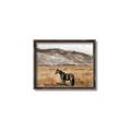 Picture of Mustard Grass Horse _GroupedProduct_Rectangle_Landscape_Photography _GroupedProduct_Rectangle_Landscape_Canvas_Framed_