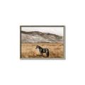 Picture of Mustard Grass Horse _GroupedProduct_Rectangle_Landscape_Photography _GroupedProduct_Rectangle_Landscape_Canvas_Framed_