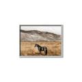 Picture of Mustard Grass Horse _GroupedProduct_Rectangle_Landscape_Photography _GroupedProduct_Rectangle_Landscape_Canvas_Framed_