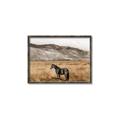 Picture of Mustard Grass Horse _GroupedProduct_Rectangle_Landscape_Photography _GroupedProduct_Rectangle_Landscape_Canvas_Framed_