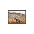 Picture of Mustard Grass Horse _GroupedProduct_Rectangle_Landscape_Photography _GroupedProduct_Rectangle_Landscape_Canvas_Framed_