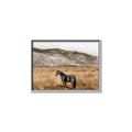 Picture of Mustard Grass Horse _GroupedProduct_Rectangle_Landscape_Photography _GroupedProduct_Rectangle_Landscape_Canvas_Framed_