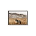 Picture of Mustard Grass Horse _GroupedProduct_Rectangle_Landscape_Photography _GroupedProduct_Rectangle_Landscape_Canvas_Framed_