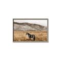 Picture of Mustard Grass Horse _GroupedProduct_Rectangle_Landscape_Photography _GroupedProduct_Rectangle_Landscape_Canvas_Framed_