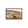 Picture of Mustard Grass Horse _GroupedProduct_Rectangle_Landscape_Photography _GroupedProduct_Rectangle_Landscape_Canvas_Framed_